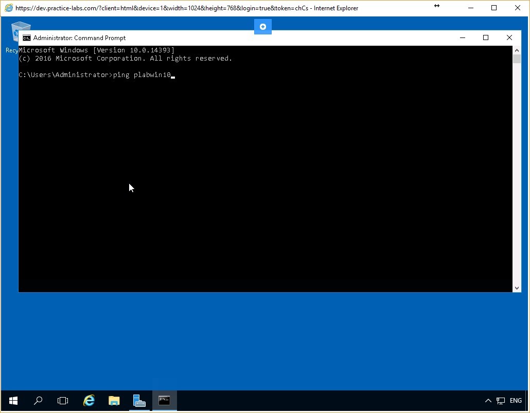 Figure 2.2 Screenshot of the PLABDC01 desktop